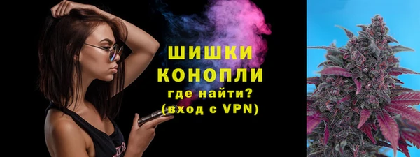 ешки Вяземский