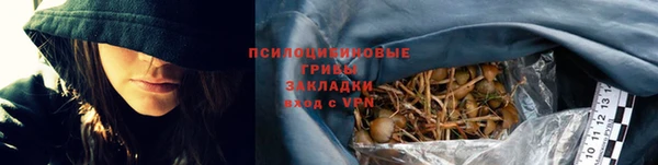 ешки Вяземский