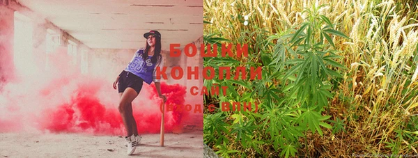 ешки Вяземский