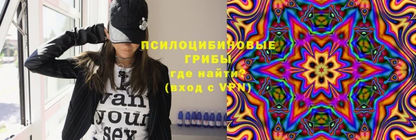 тгк Володарск